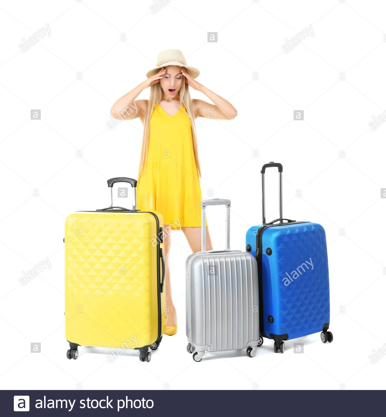 suitcase 6 mac torrent